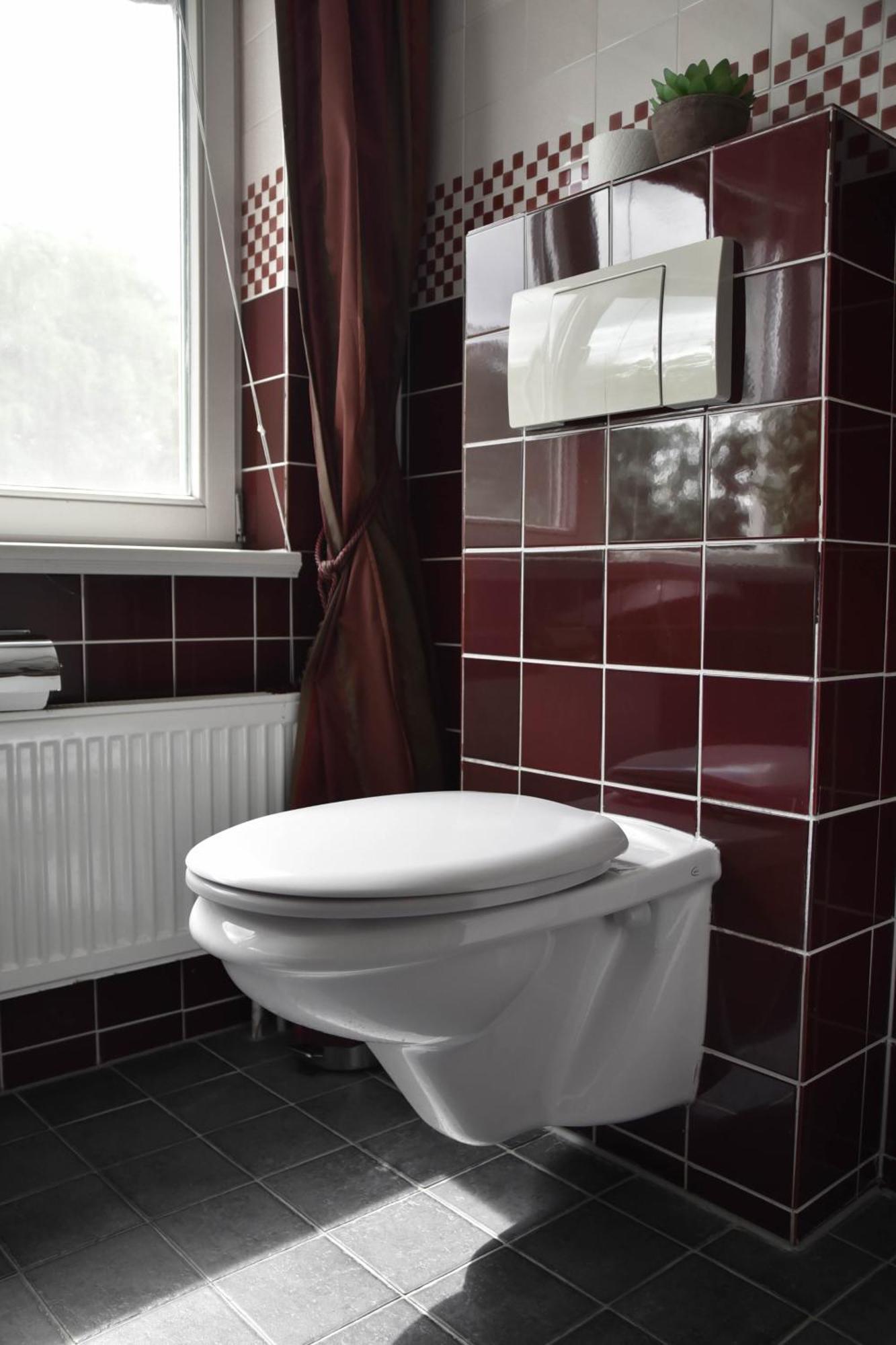 The Cosy Cottage For Comfort With Sauna And Hottub Zeewolde Extérieur photo
